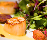 Seared Scallops